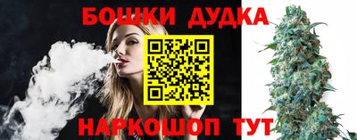 гидра Ставрополь