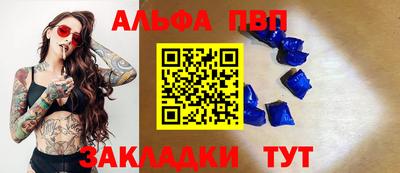 гидра Ставрополь