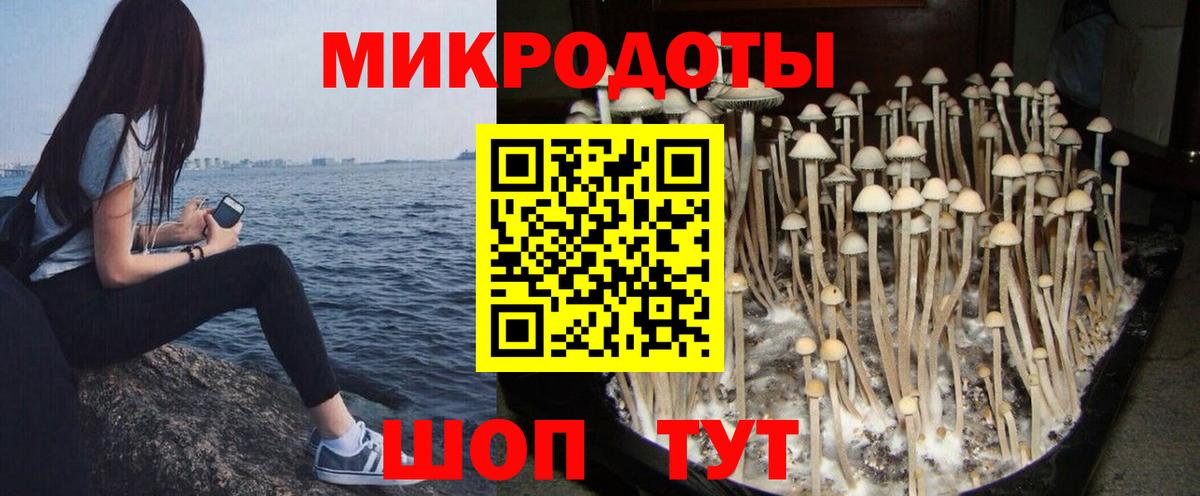 Новодвинск  Псилоцибиновые грибы мухоморы  Псилоцибиновые грибы мухоморы  Вход с VPN 