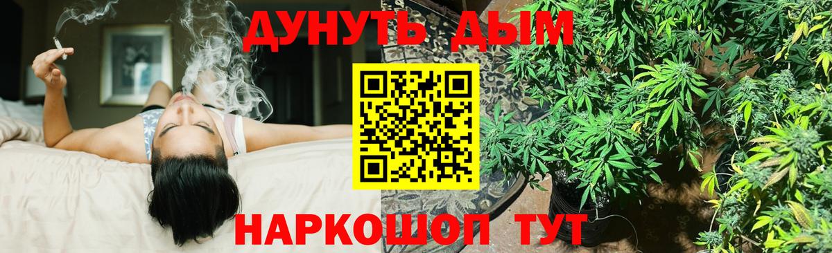 Бошки марихуана Bruce Banner  Вход с VPN  Конопля Ganja  Бошки Шишки Ganja  Новодвинск  Шишки марихуана MAZAR 